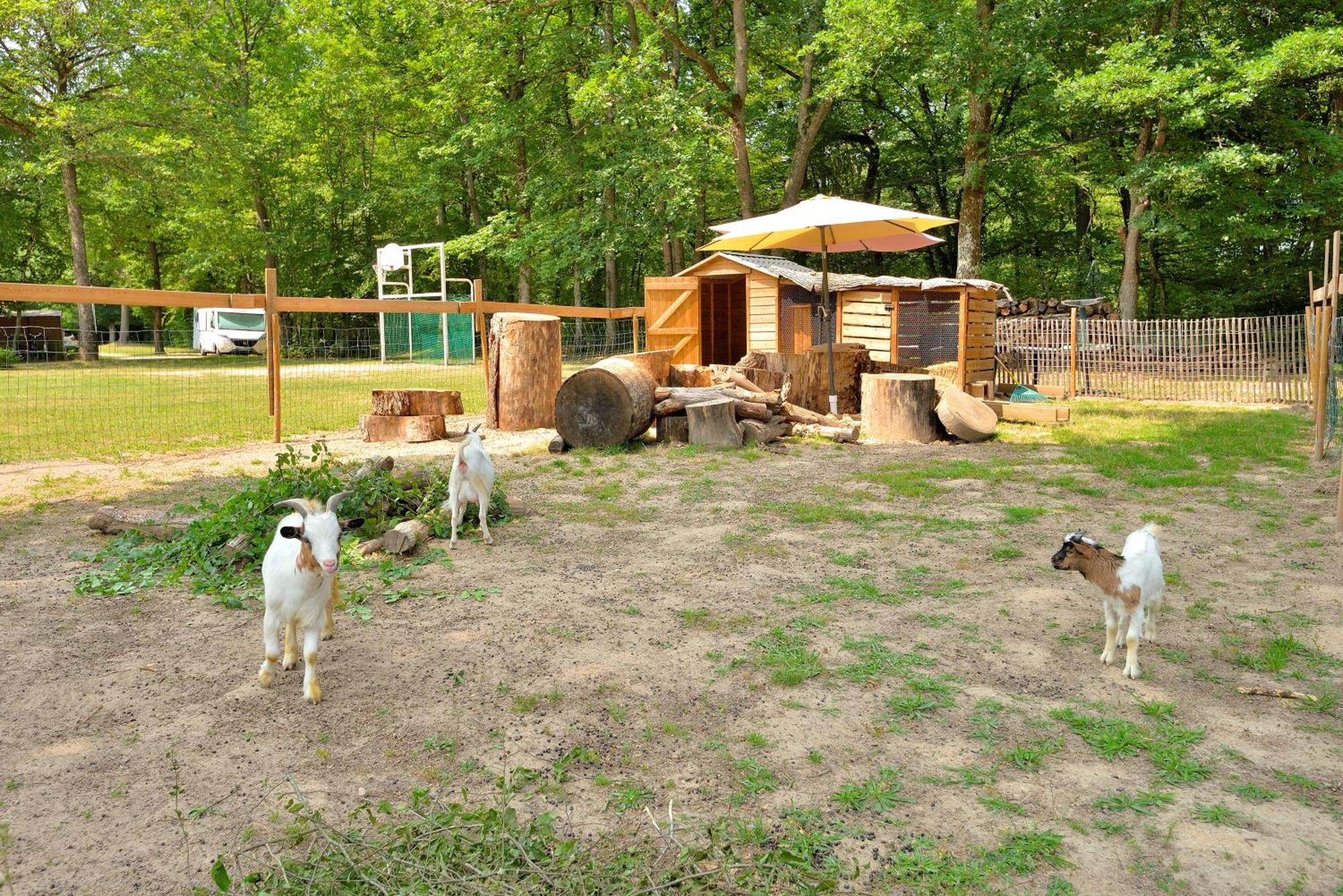 Camping Etang De La Vallee Combreux Luaran gambar